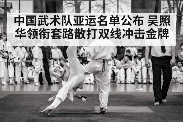 martial arts competition
